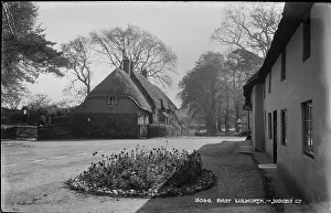 Thatched: East Lulworth - Judges