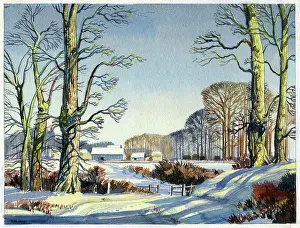 An East Suffolk Farm