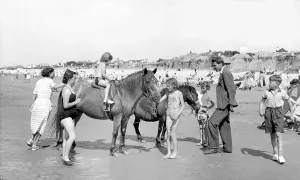 The Francis Frith Collection: East Wittering, Ponies on the Beach c1955