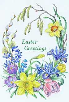 Hazel: Easter border of Daffodil, Tulip, Iris, Crocus etc