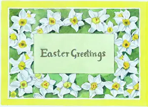 Langlands: Easter border of Daffodils