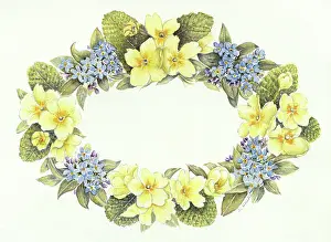 Nots: Easter border with primroses and forget-me-nots