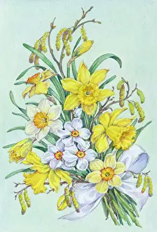 Narcissi: Easter Bouquet of Daffodils and Narcissi Bow