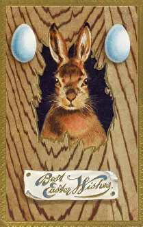Slat: Easter Bunny with two Easter Eggs