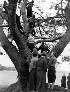 Tries: Easter camp of the BDM in Storkow, 1937