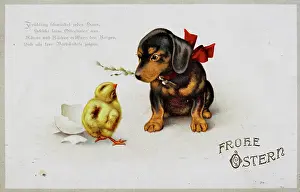 Hatched: Easter card. 'Happy Easter! ' Dachshund