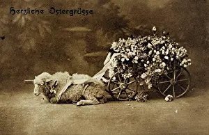 Photographie: Easter card. 'Happy Easter! ' Photographie