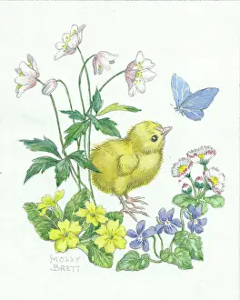 Hatched: Easter chick by Molly Brett