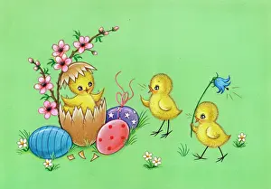 Adair: Easter Chicks