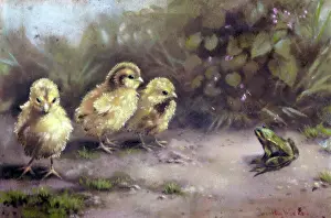 Keene: Easter chicks with frog