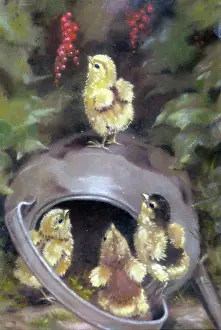 Keene: Easter chicks with kettle
