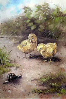 Keene: Easter chicks with snail