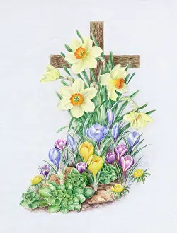 Narcissi: Easter Cross with spring flowers