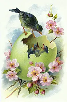 Birdie: Easter egg