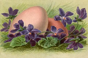 Violets: Easter Eggs and Violets