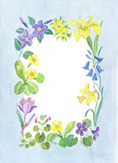 Primroses: Easter Flower Border - daffodils, crocus etc