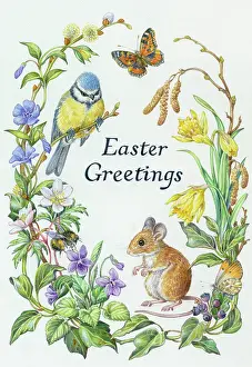 Tortoiseshell: Easter Greetings 'Blue Tit, Mouse, Butterflies
