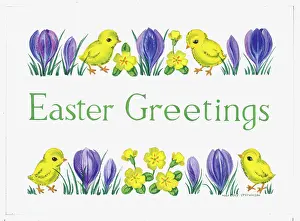 Croci: Easter Greetings ? with chicks, crocuses etc