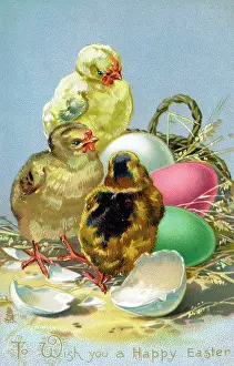 Remarkably: Easter Greetings - Yellow chicks and colourful eggs