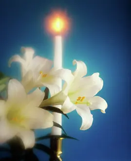 Tay001: Easter Lilies and White Candle Soft Focus