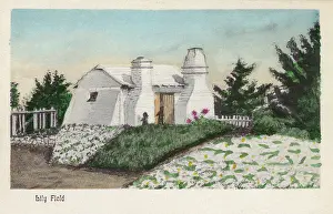 Exporting: Easter Lily Field, Bermuda