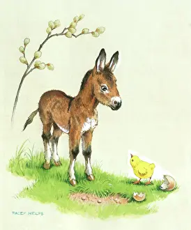 Hatched: An Easter Meeting - young donkey and chick