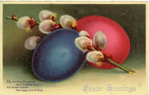 Catkin: Easter postcard with eggs and catkins