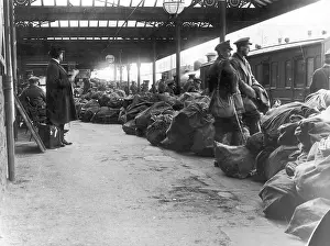 Bulging: EASTER RISING 1916