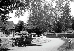 The Francis Frith Collection: Eastnor, the Green c1950