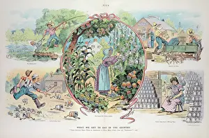 Milkmaid: What we get to eat in the country