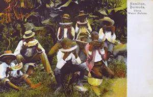 Tucking: Eating Watermelons - Hamilton, Bermuda