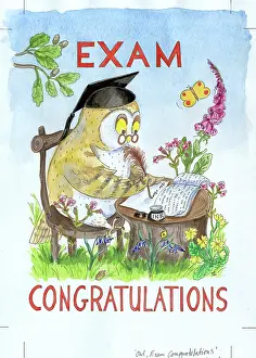 Mortarboard: Eaxm Congratulations