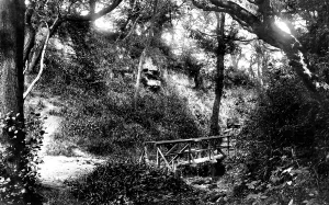 Ecclesbourne: Ecclesbourne, Glen 1890