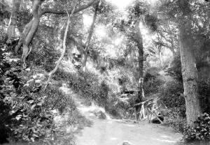 Ecclesbourne: Ecclesbourne, Glen Bridge 1890