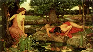 Waterhouse: Echo and Narcissus, by J W Waterhouse