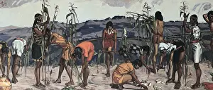 Harvests: Ecuador. Indigenous painting. Corn harvest