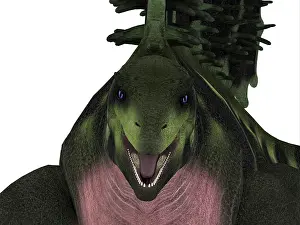 Synapsid: Edaphosaurus dinosaur head close-up