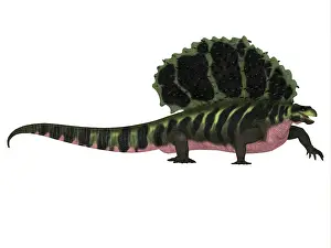 Synapsid: Edaphosaurus dinosaur, side profile
