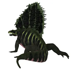 Synapsid: Edaphosaurus dinosaur, rear view