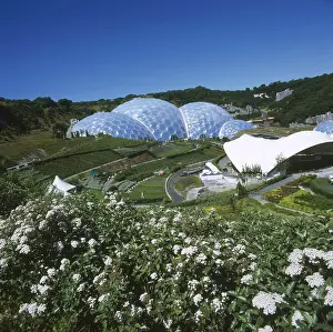 Greenhouses: The Eden Project, Cornwall