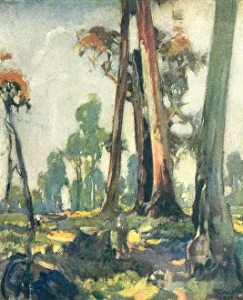 Woodsman: The Edge Of The Bush