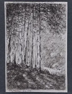 Brokman: The Edge of the forest