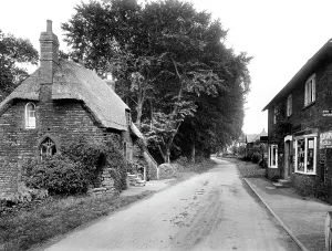 Edgehill: Edgehill, Old Cottages 1922