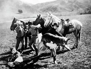 Cobb: Edmund Cobb - Maurice Murphy