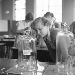 Crouches: Education, girls, science