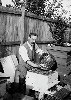 Hive: Edward Baruch Blaker