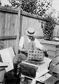 Hive: Edward Baruch Blaker