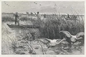 Enjoys: EDWARD SHOOTS SWANS