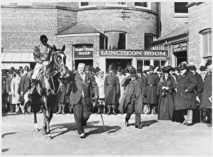 Paddock: Edward VII at Aintree