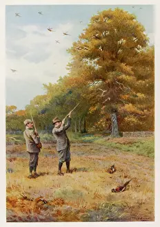 EDWARD VII SHOOTING